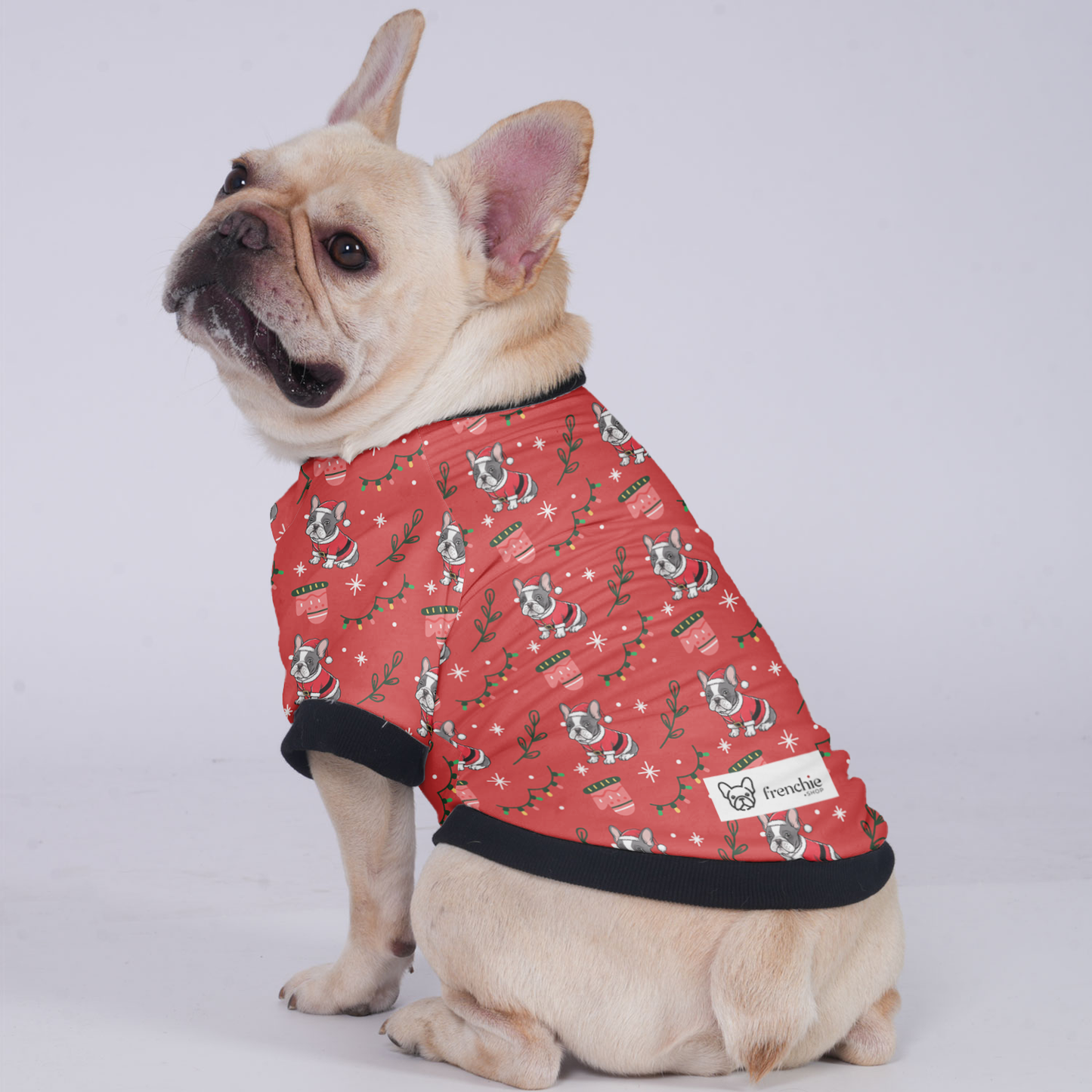 Kobe - Jacket for French bulldog