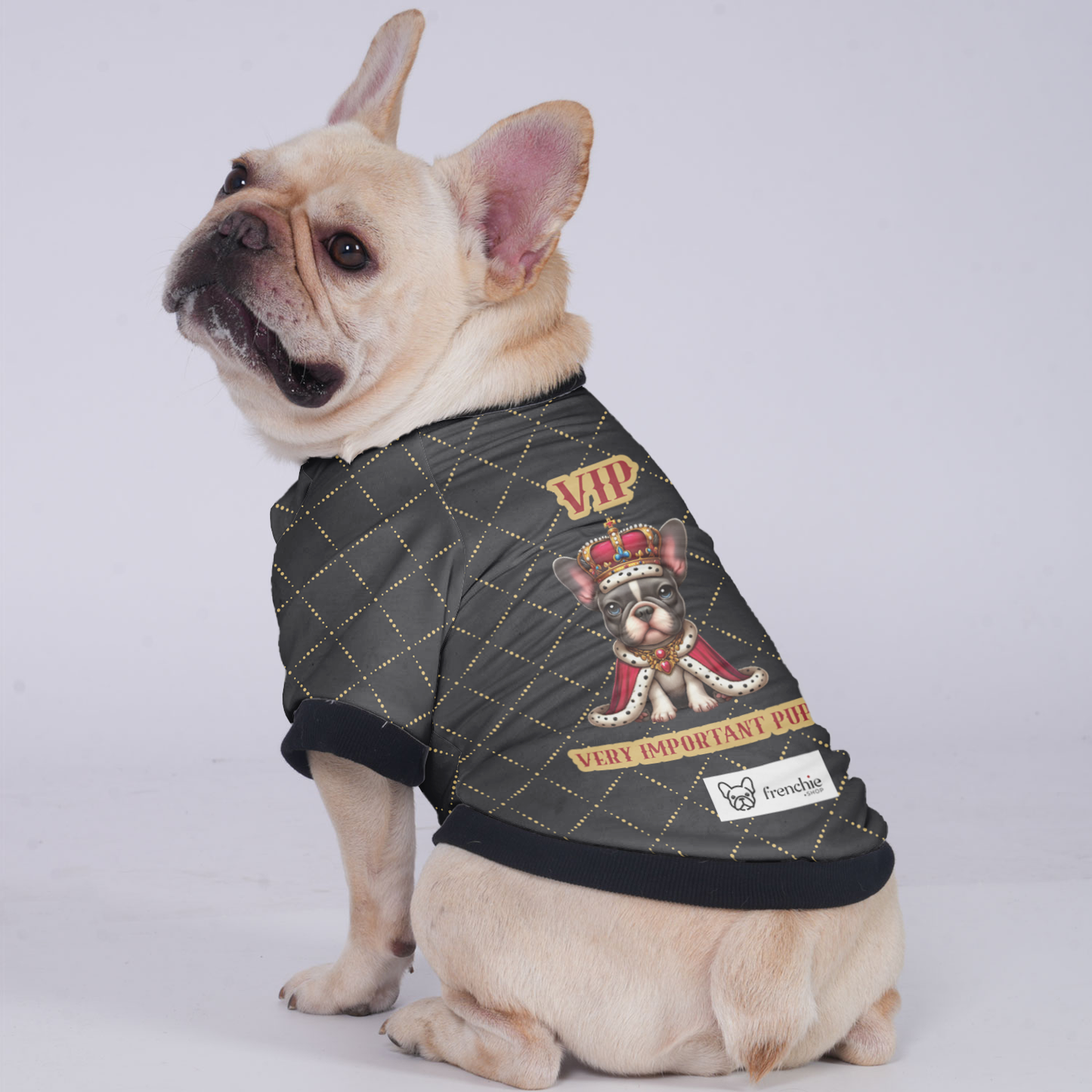 VIP (very important pup )  - Jacket for French bulldog