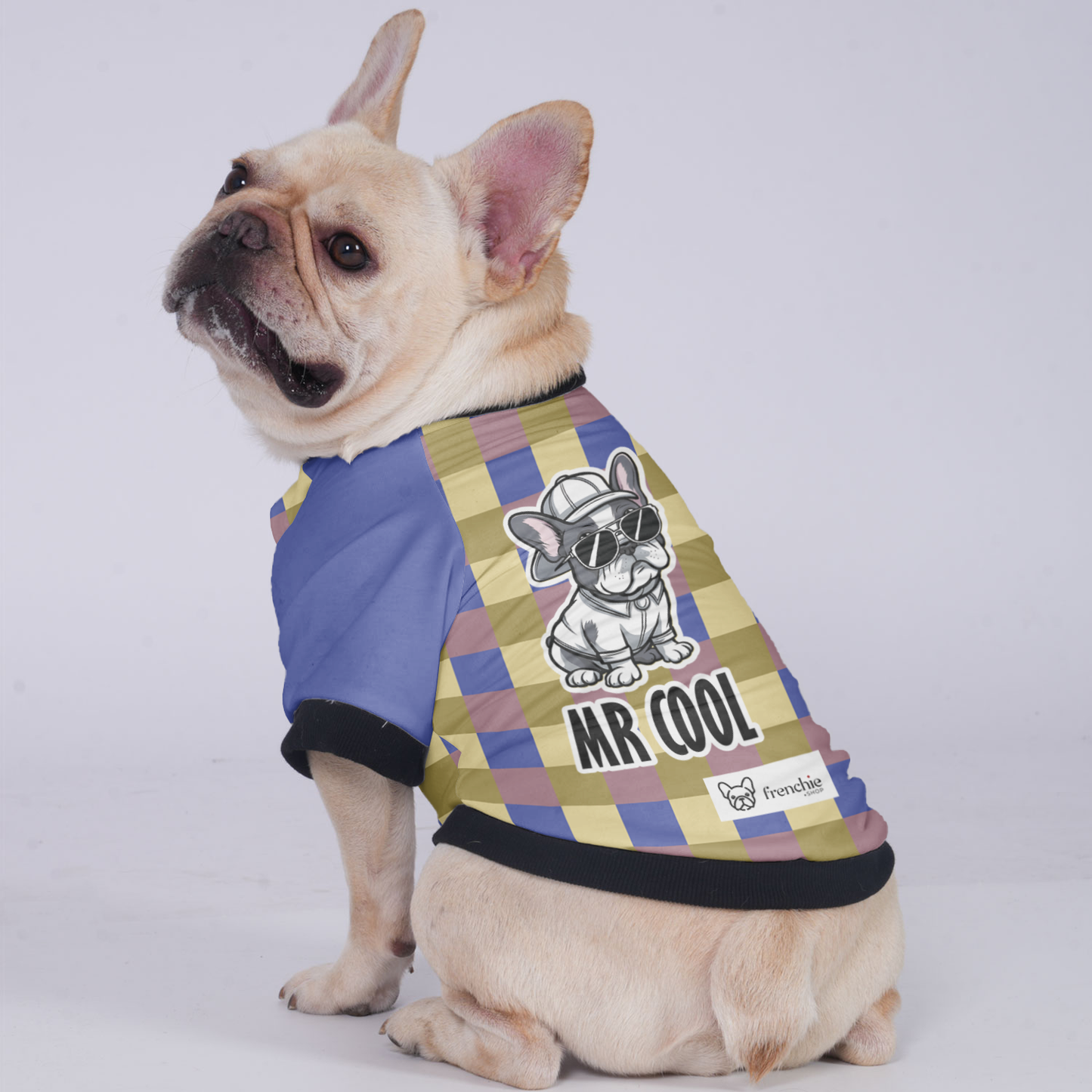 Mr Cool - Jacket for French bulldog