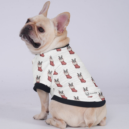 Thor - Jacket for French bulldog