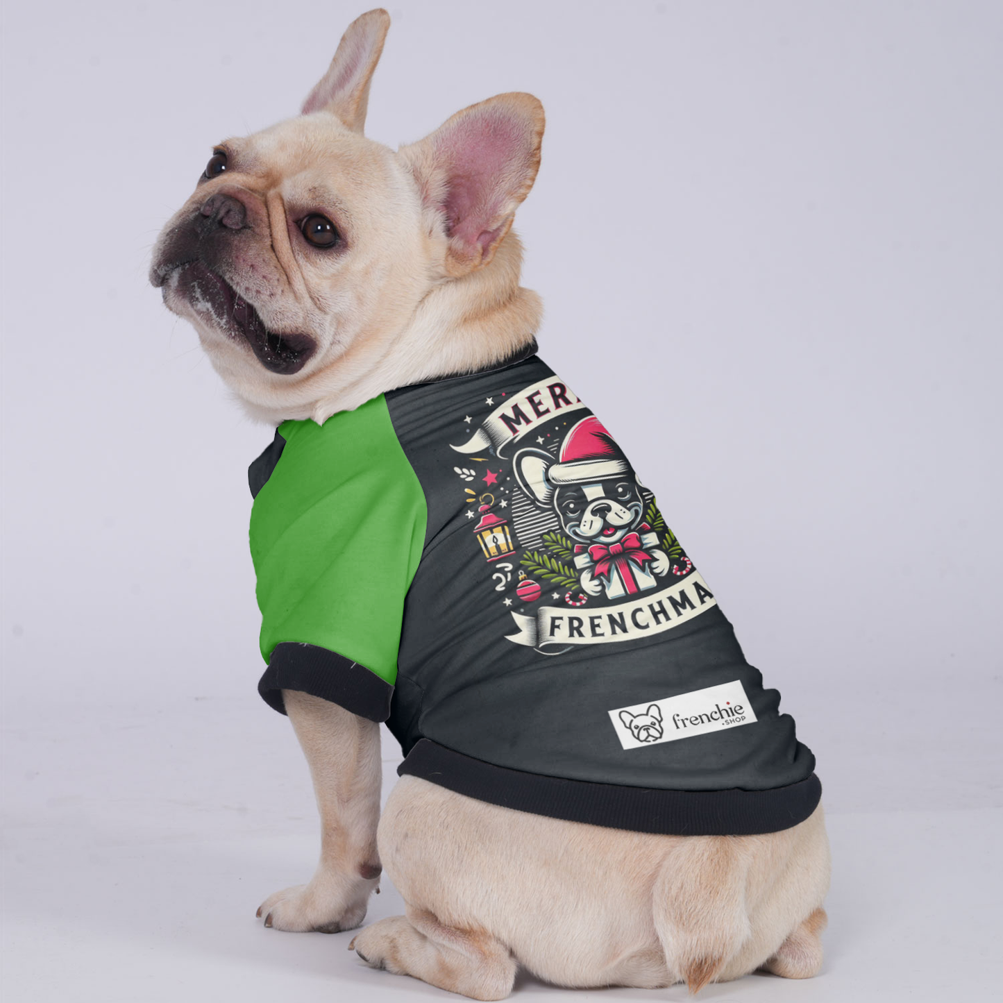 Bailey - Jacket for French bulldog