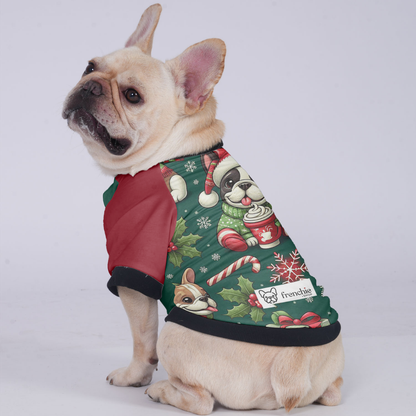 Cooper - Jacket for French bulldog