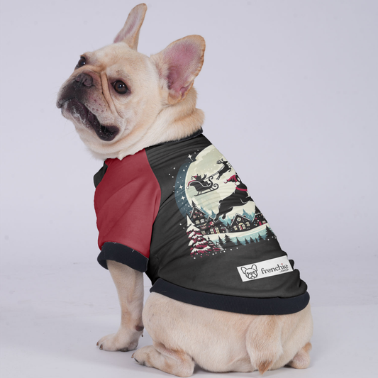 Molly - Jacket for French bulldog