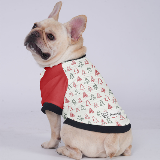 Rocky - Jacket for French bulldog