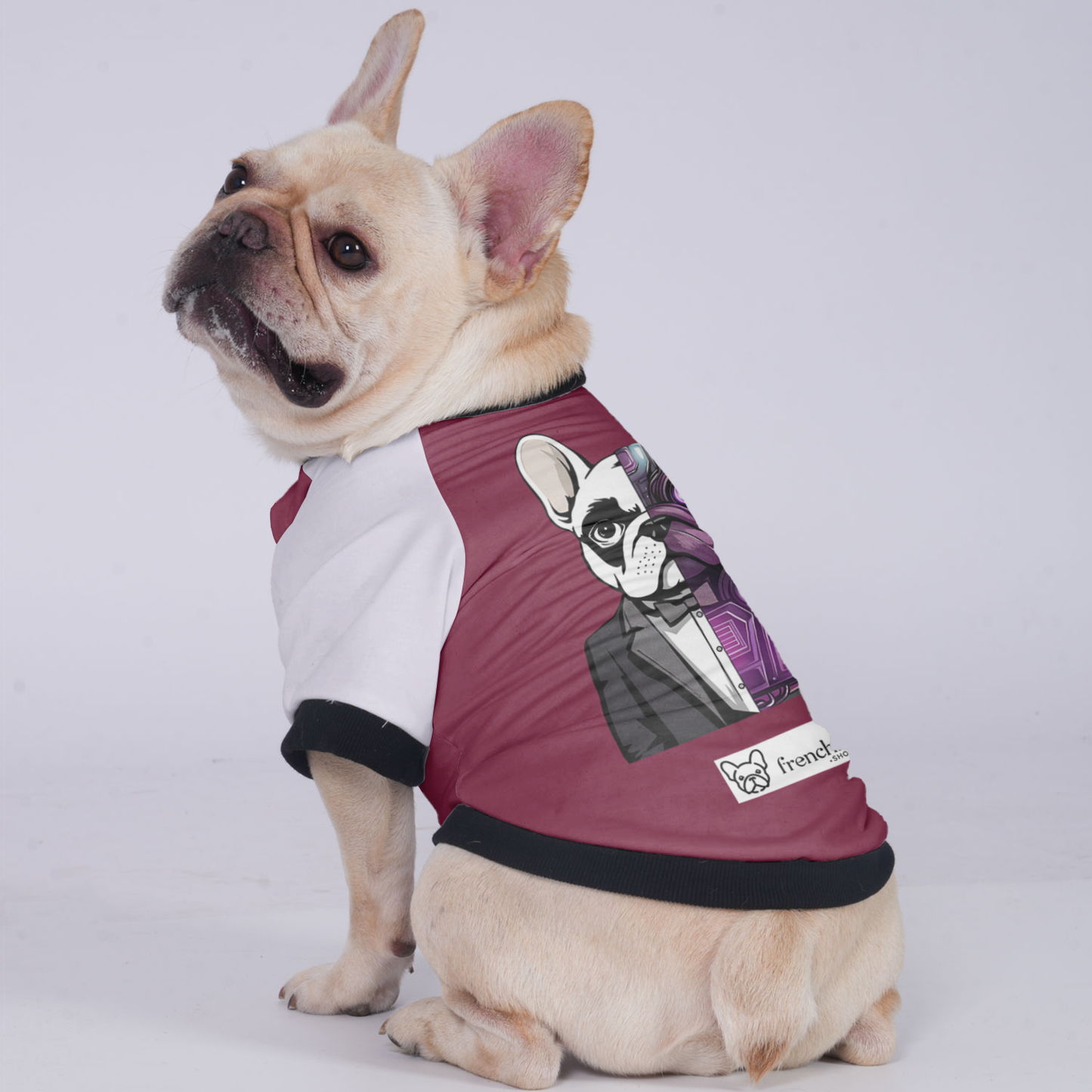 Lily - Jacket for French bulldog