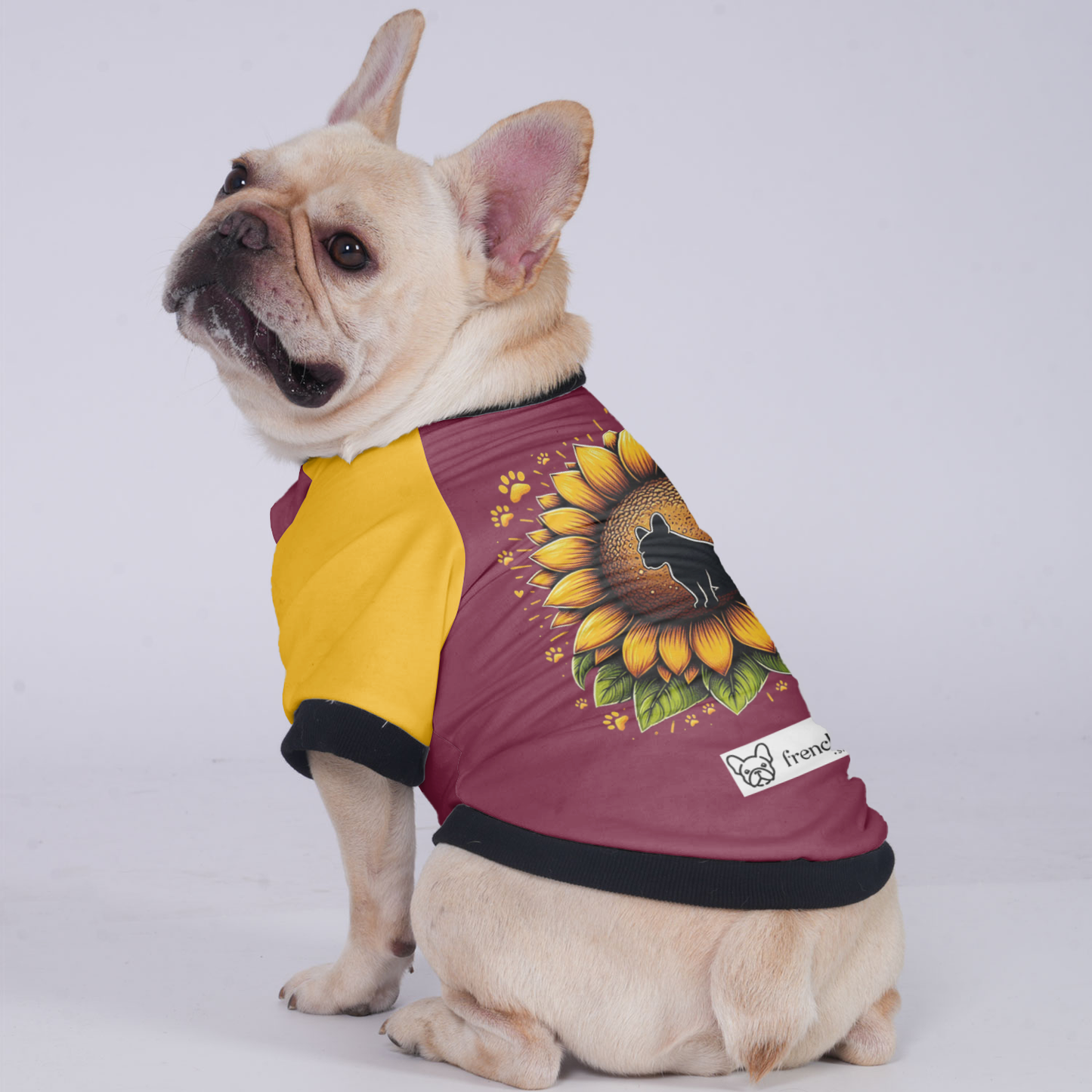 Toby - Jacket for French bulldog