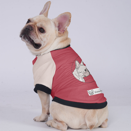 Sophie - Jacket for French bulldog