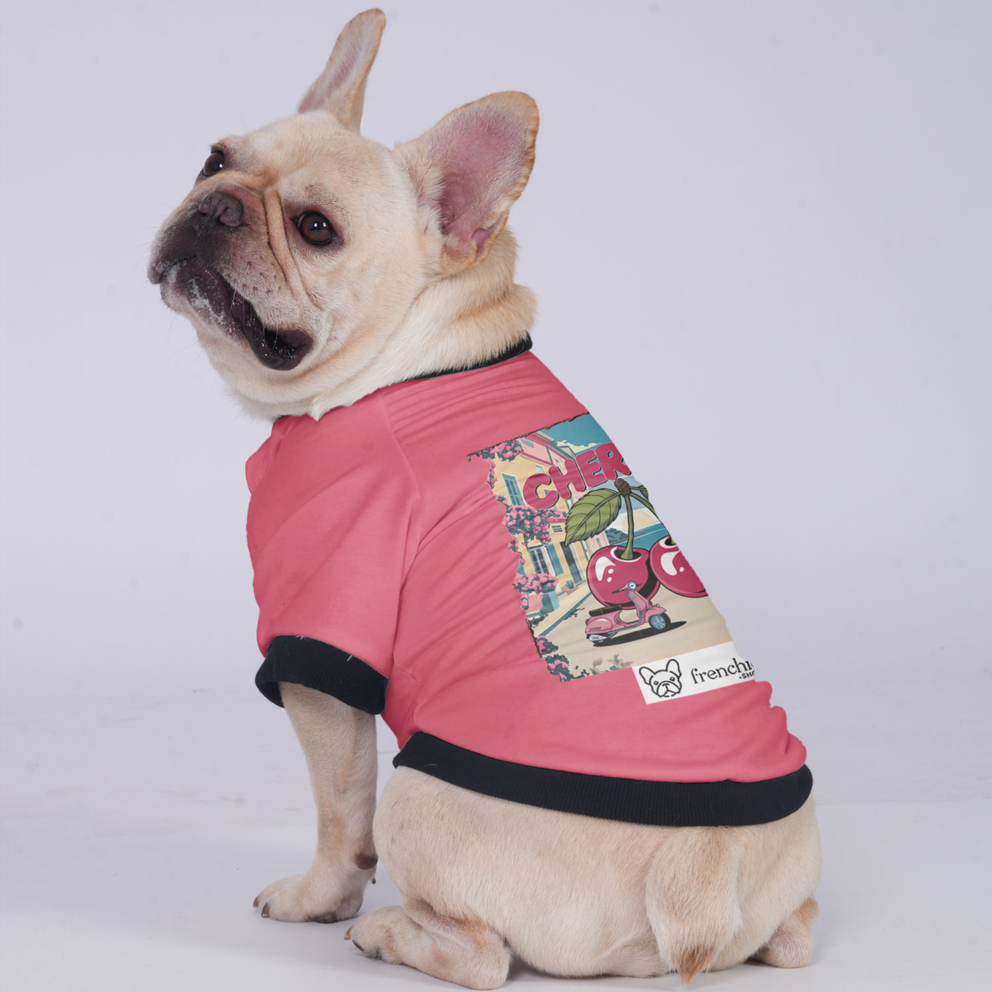 Lady - Jacket for French bulldog