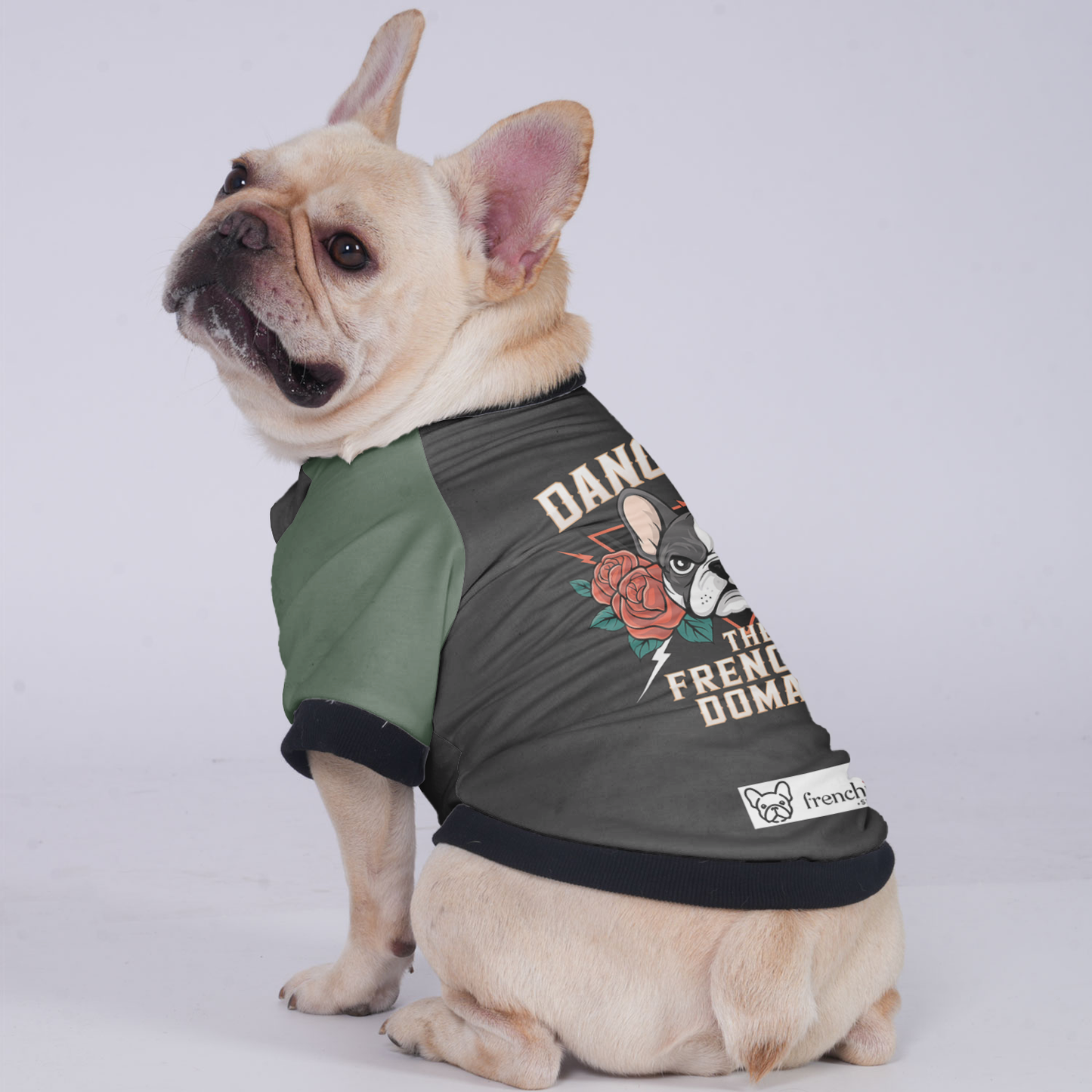 Melo - Jacket for French bulldog