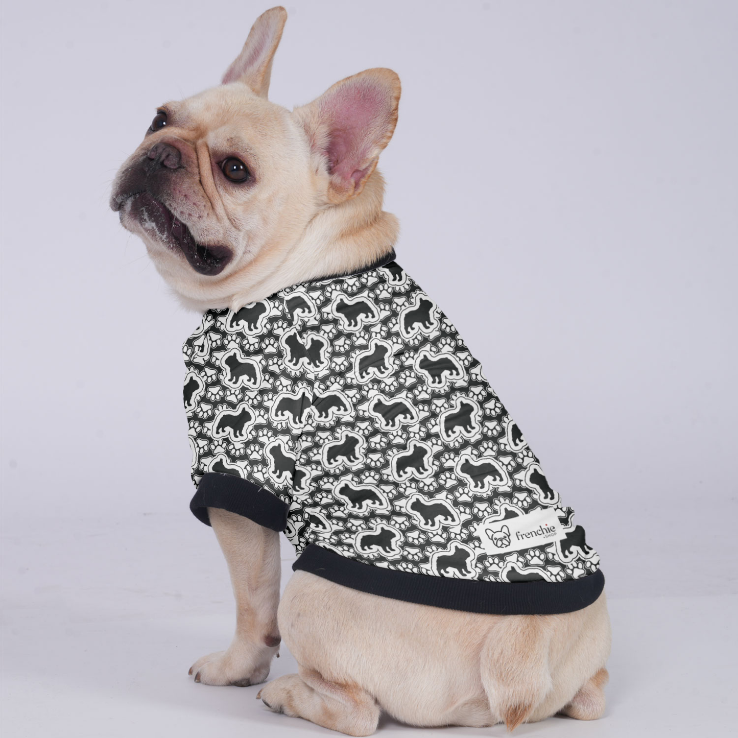 Ace - Jacket for French bulldog