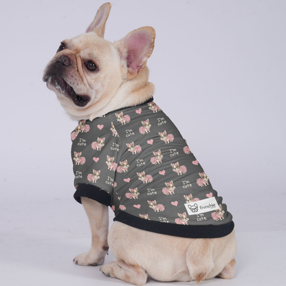 James - Jacket for French bulldog