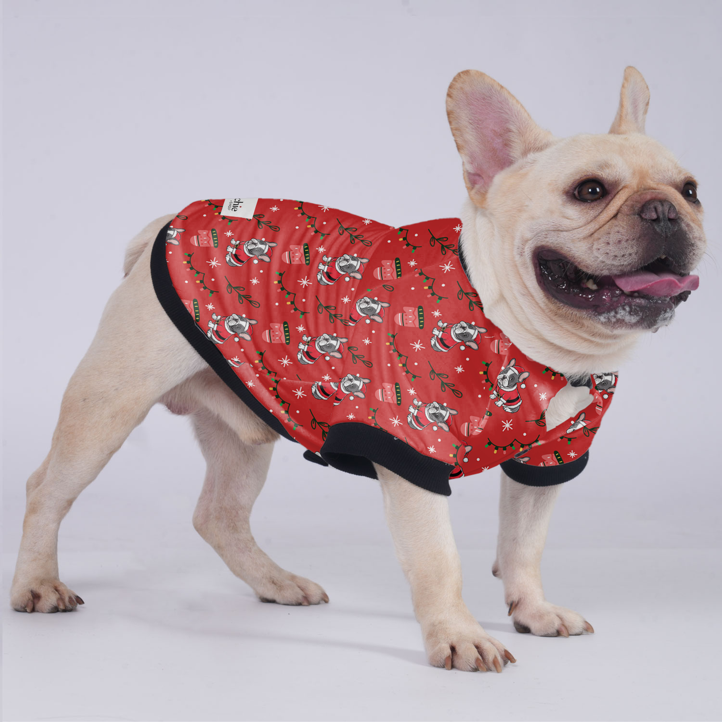 Kobe - Jacket for French bulldog