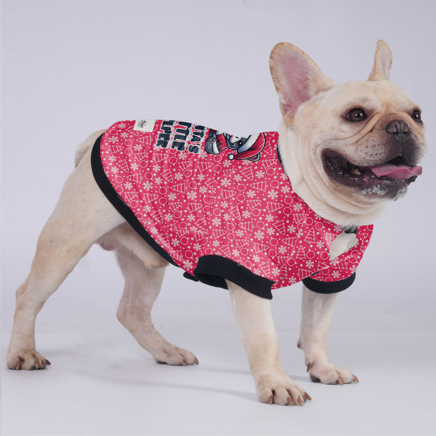 SANTA'S LITTLE HELPER - Jacket for French bulldog