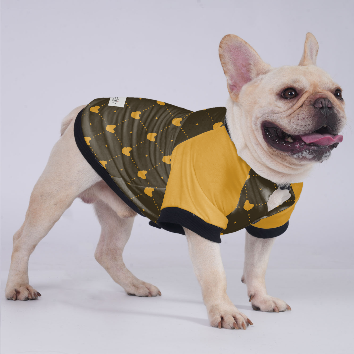 Lincoln  - Jacket for French bulldog