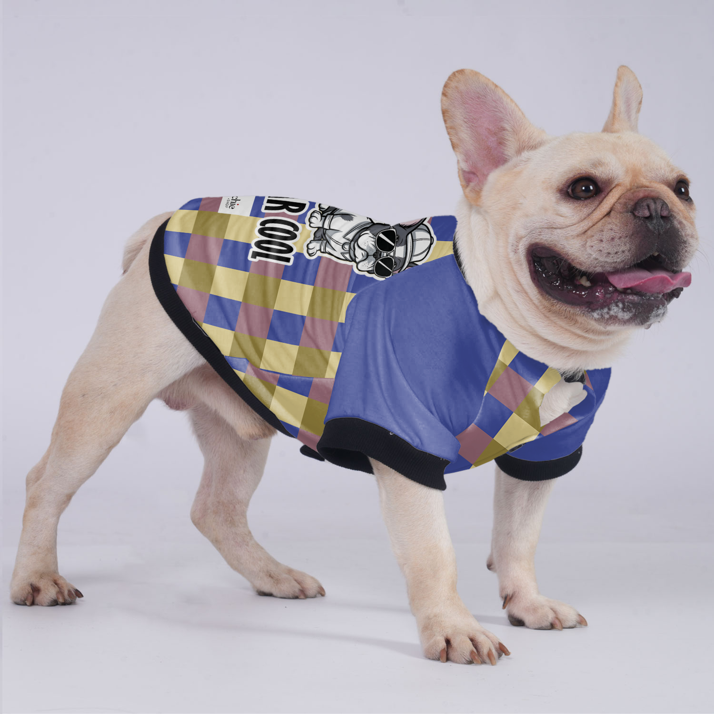 Mr Cool - Jacket for French bulldog