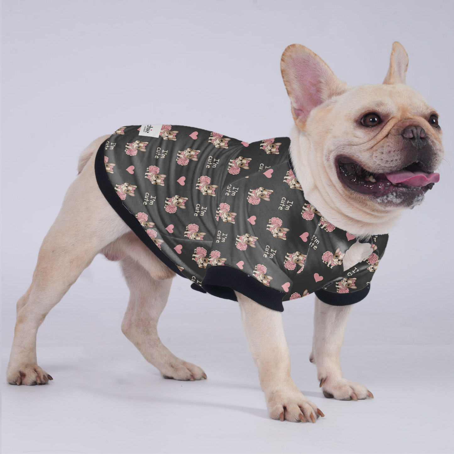 James - Jacket for French bulldog