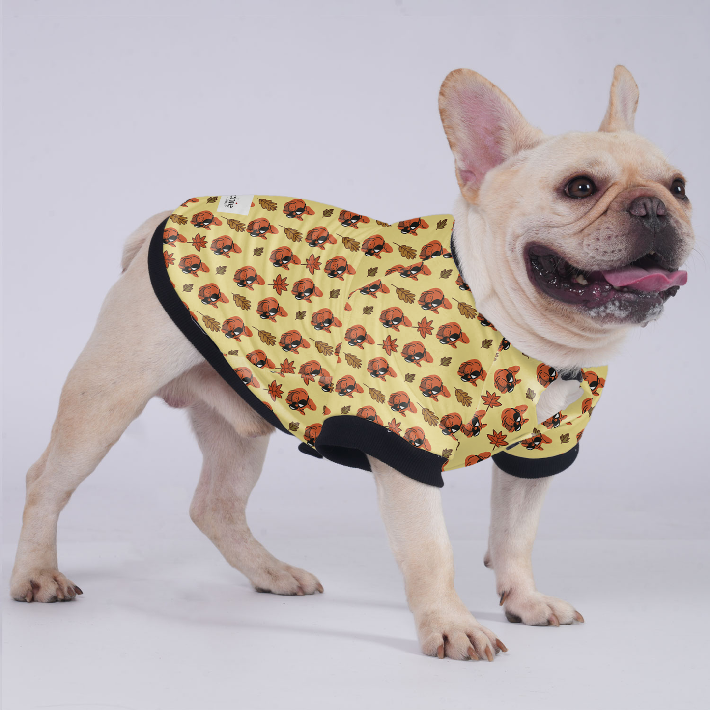 Butter - Jacket for French bulldog