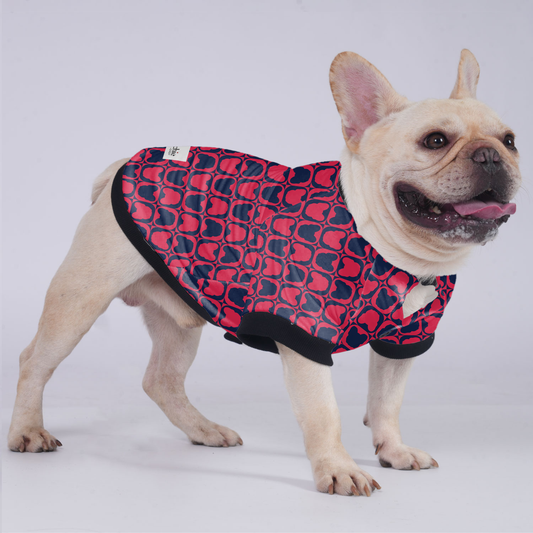 Chip - Jacket for French bulldog