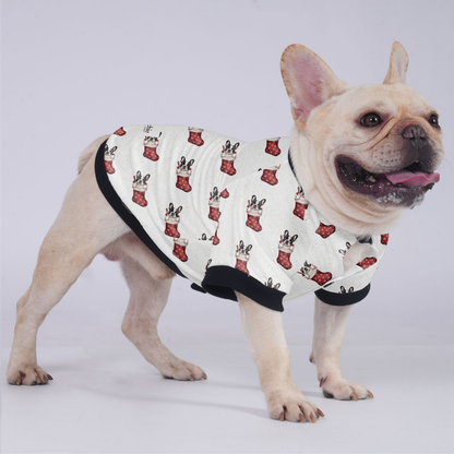 Thor - Jacket for French bulldog