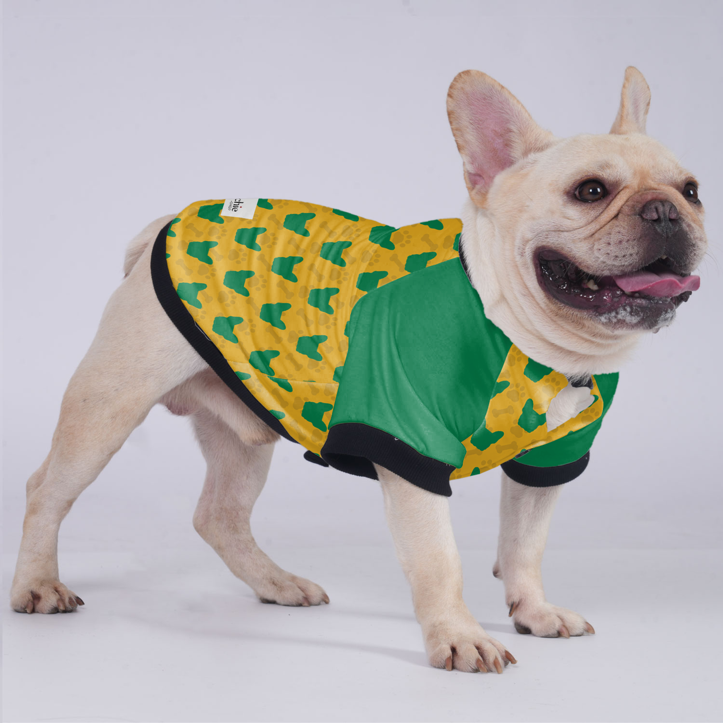 Brooklyn  - Jacket for French bulldog