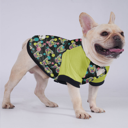 Larry  - Jacket for French bulldog