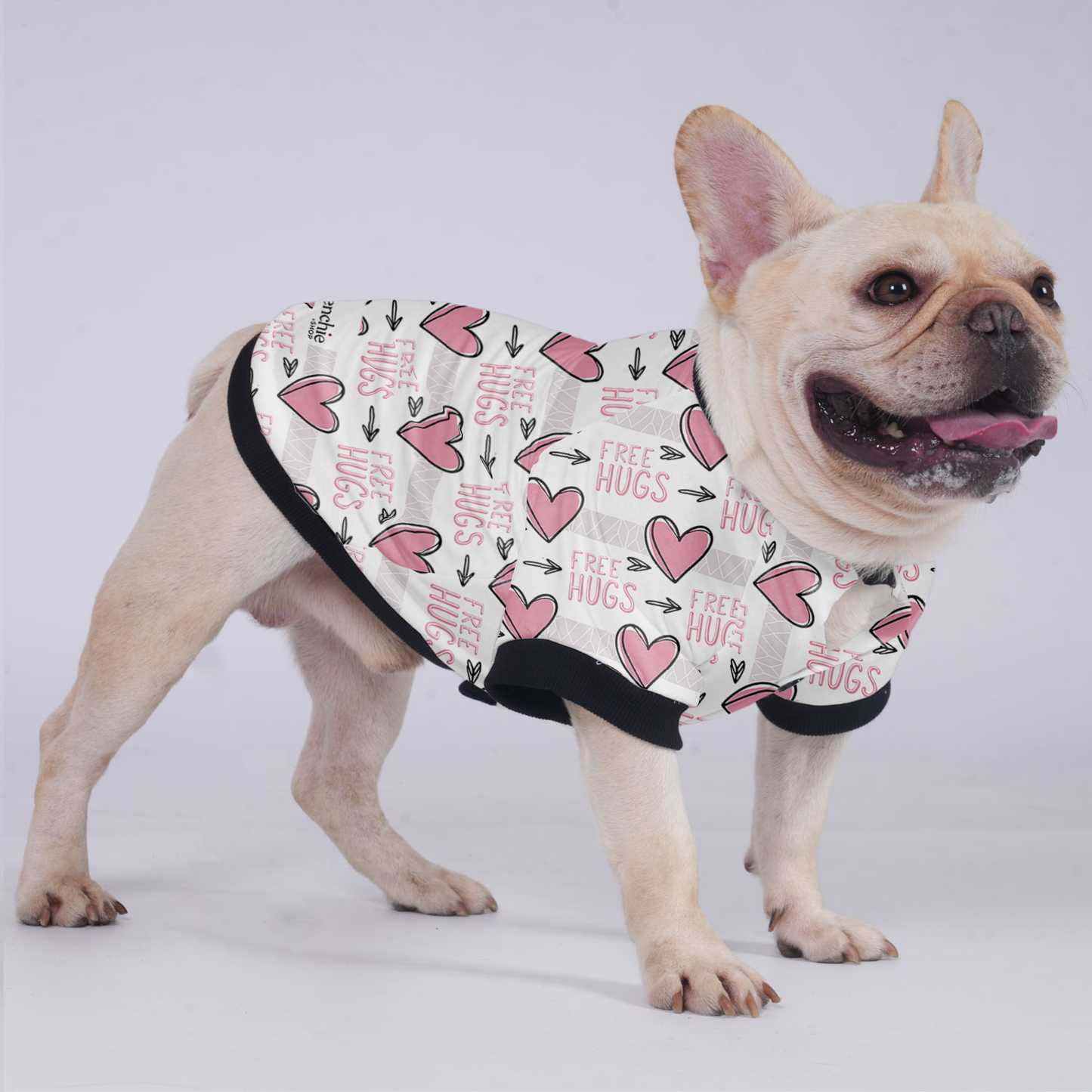 Bella - Jacket for French bulldog