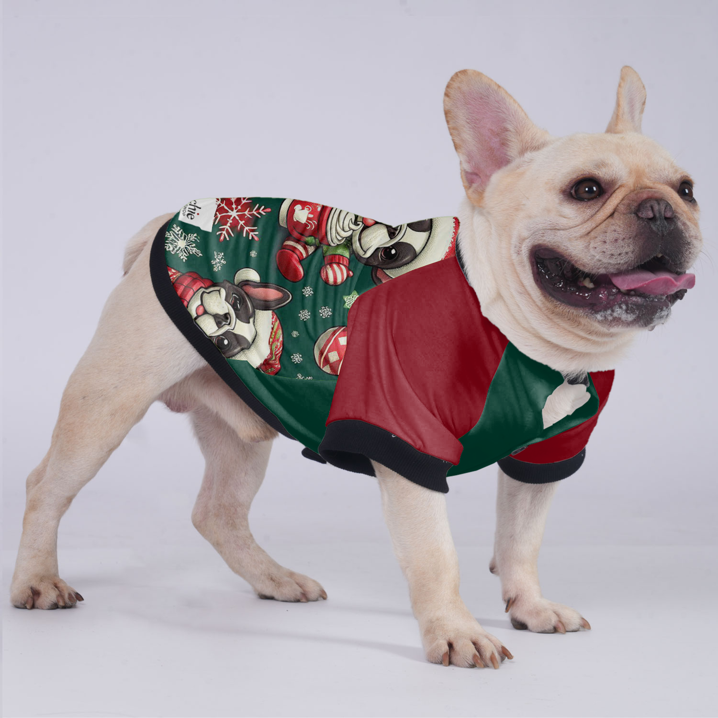 Cooper - Jacket for French bulldog