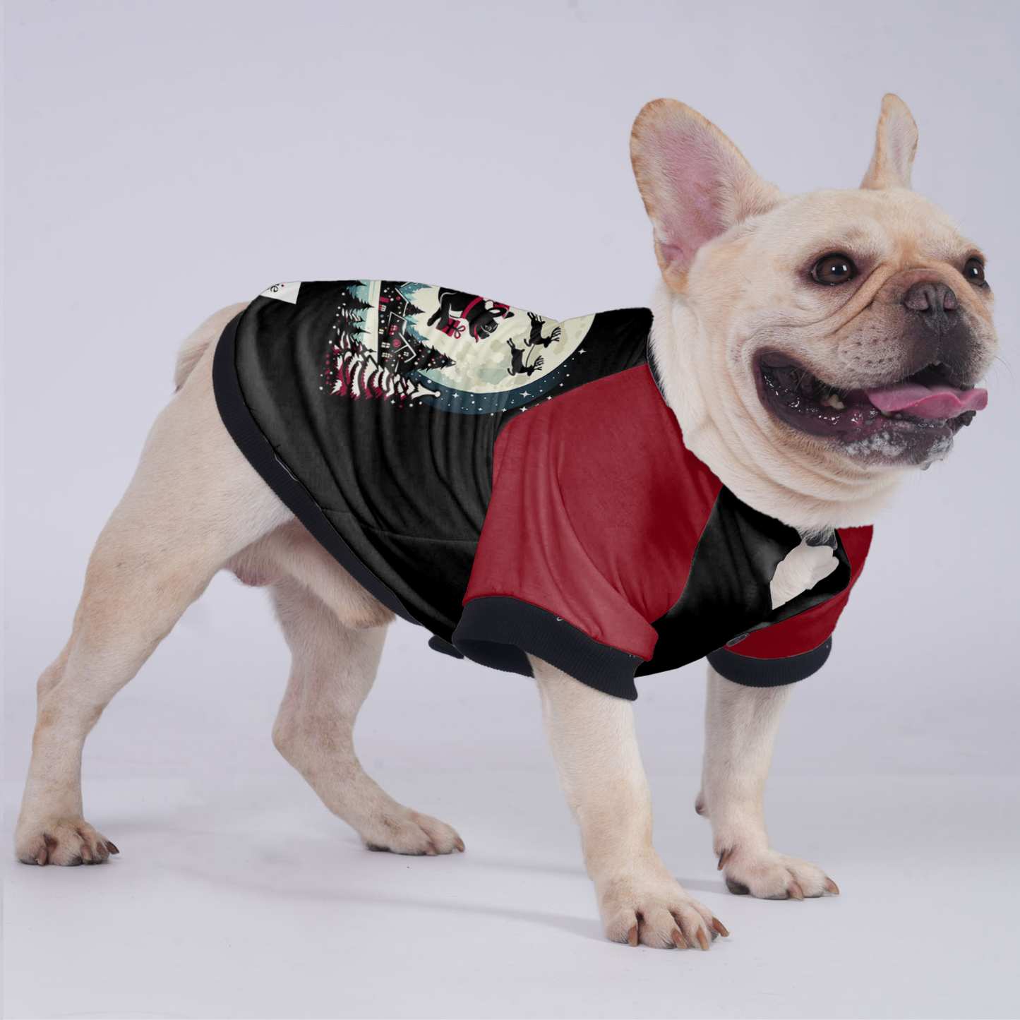 Molly - Jacket for French bulldog