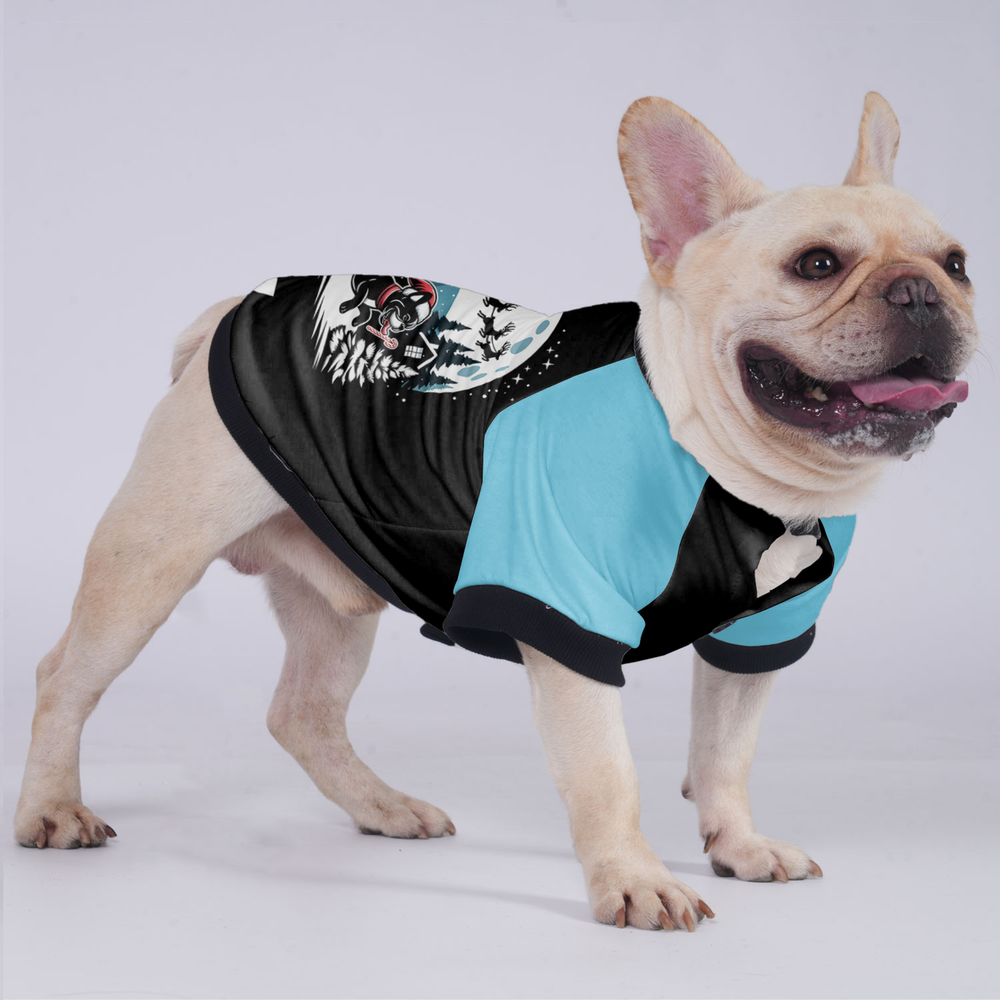 Abby - Jacket for French bulldog