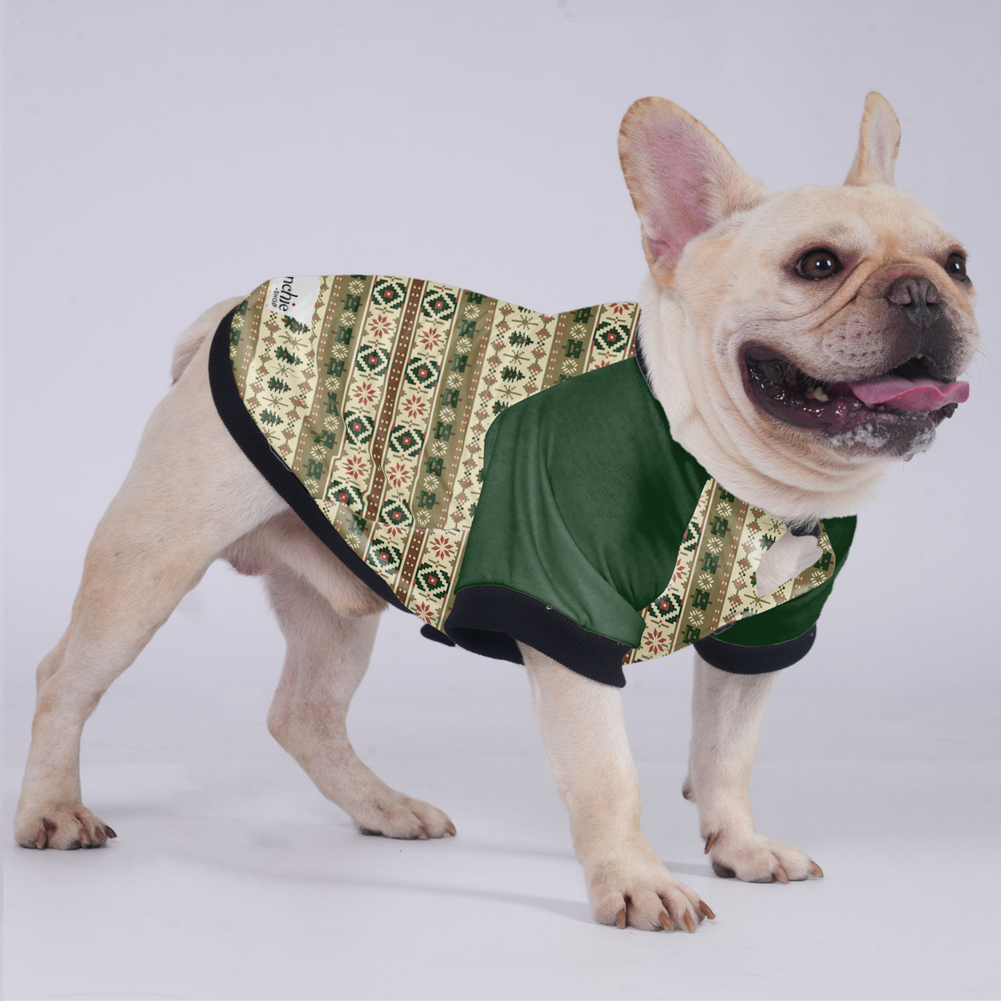 Teddy - Jacket for French bulldog