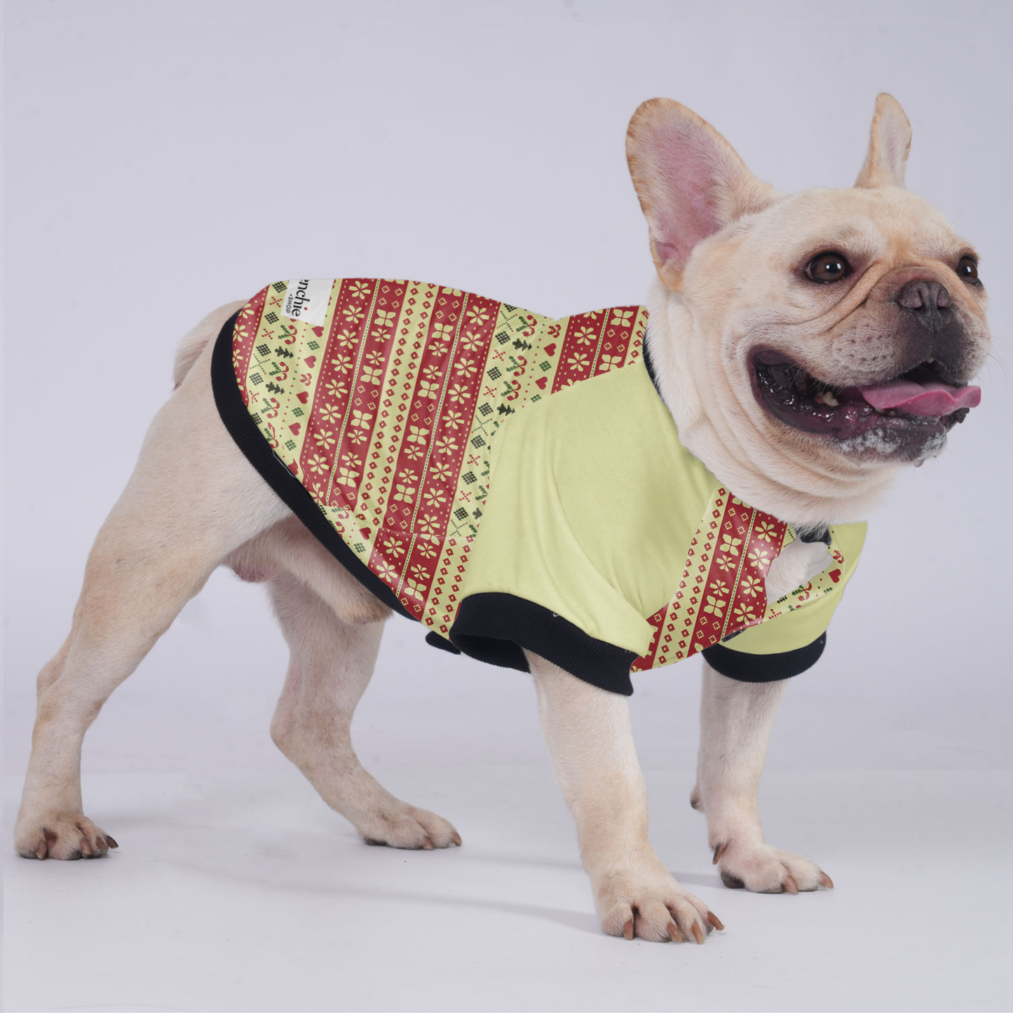 Remi - Jacket for French bulldog