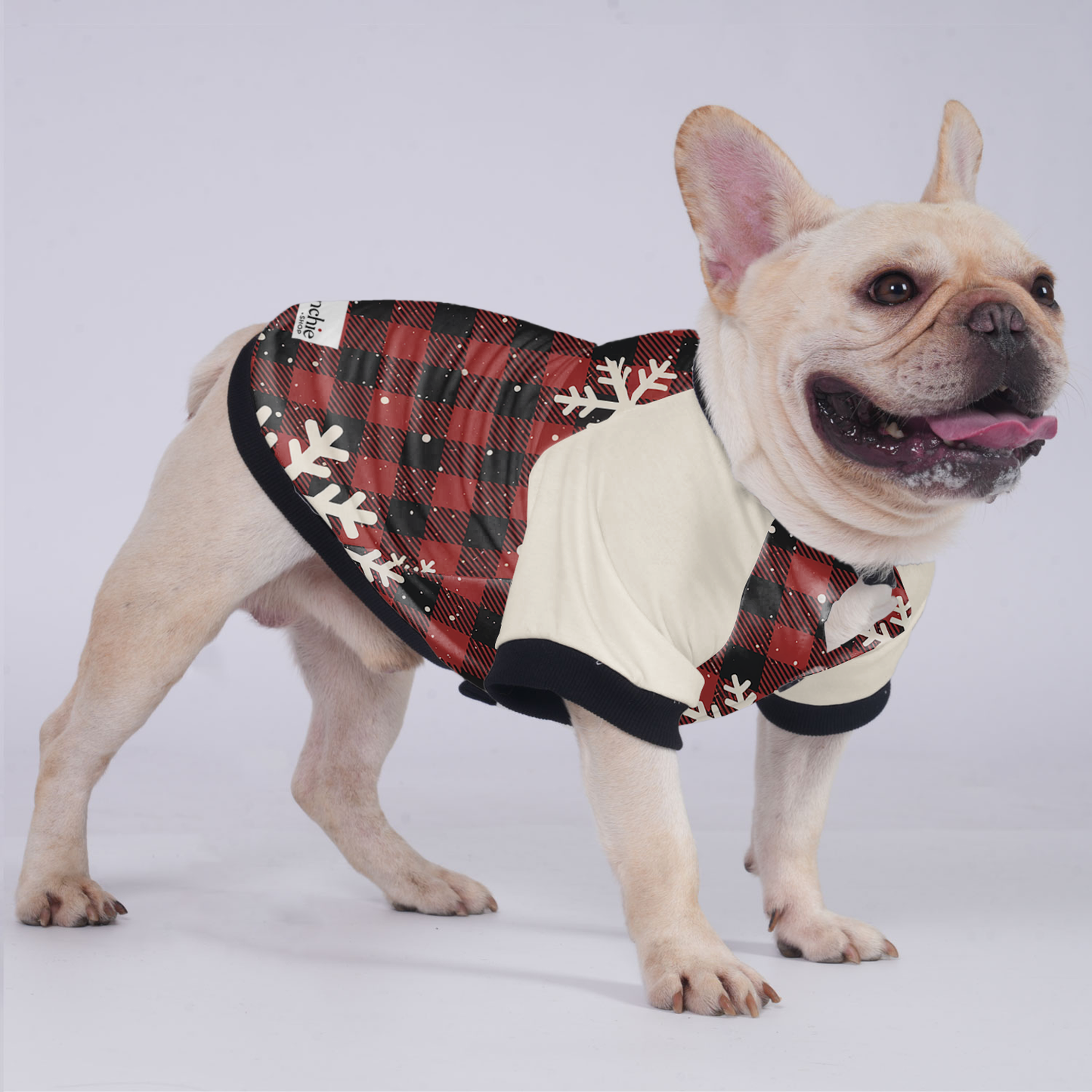 Chloe - Jacket for French bulldog