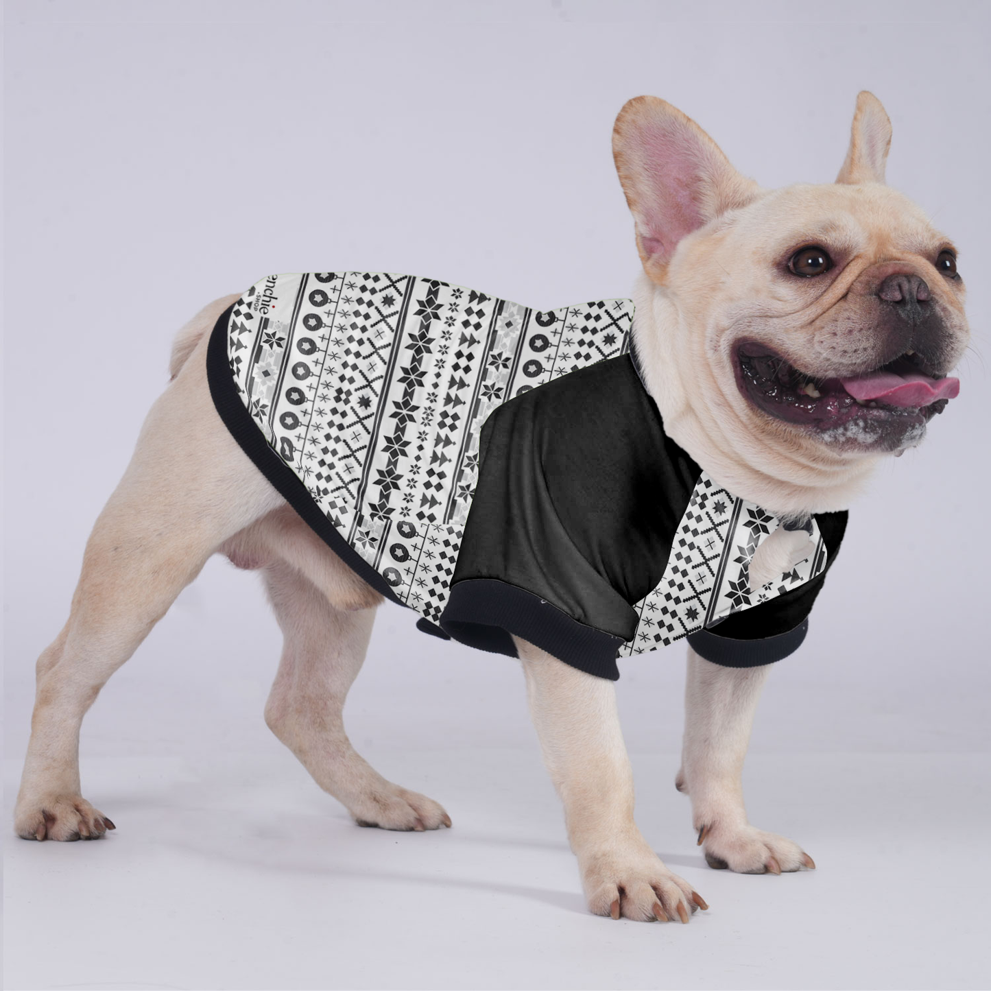 Izzy - Jacket for French bulldog