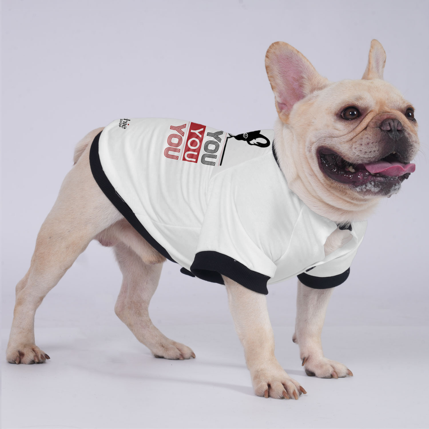 Luna - Jacket for French bulldog