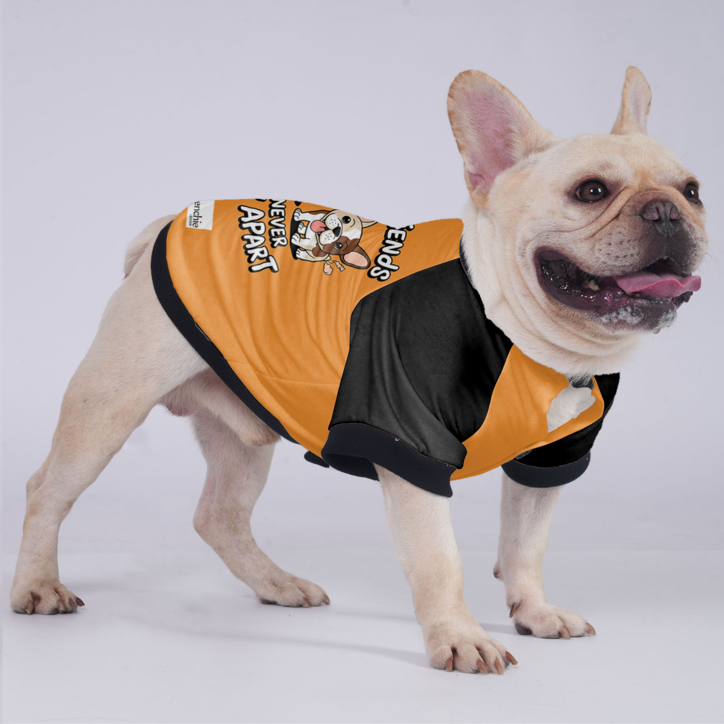 Zoey - Jacket for French bulldog