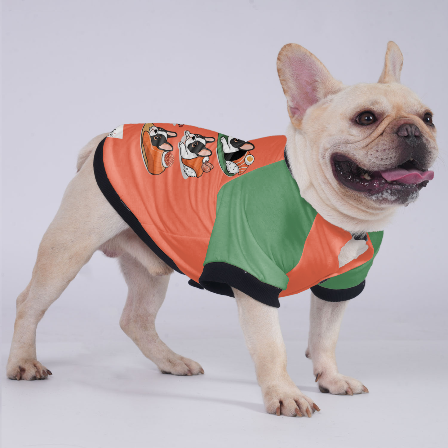 Fushi- Jacket for French bulldog