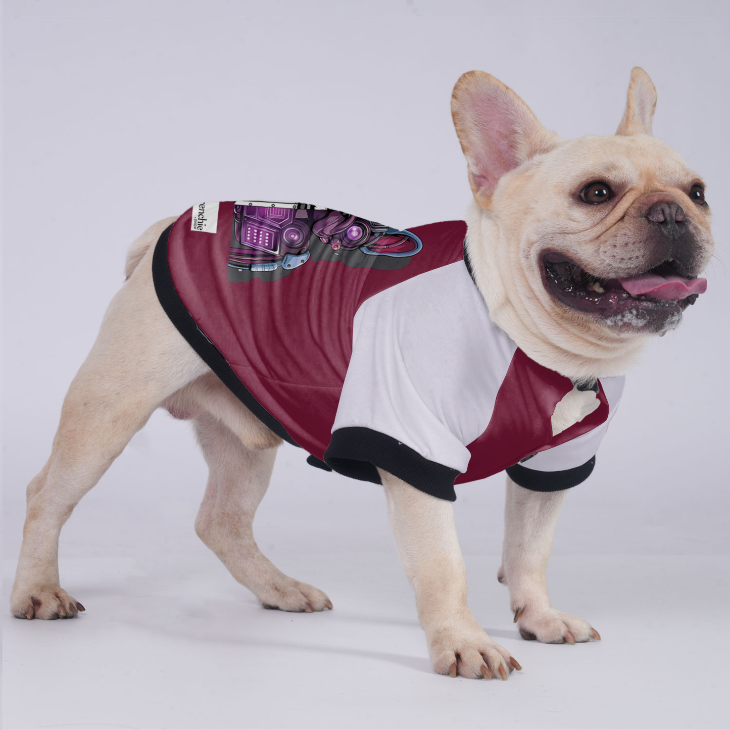 Lily - Jacket for French bulldog