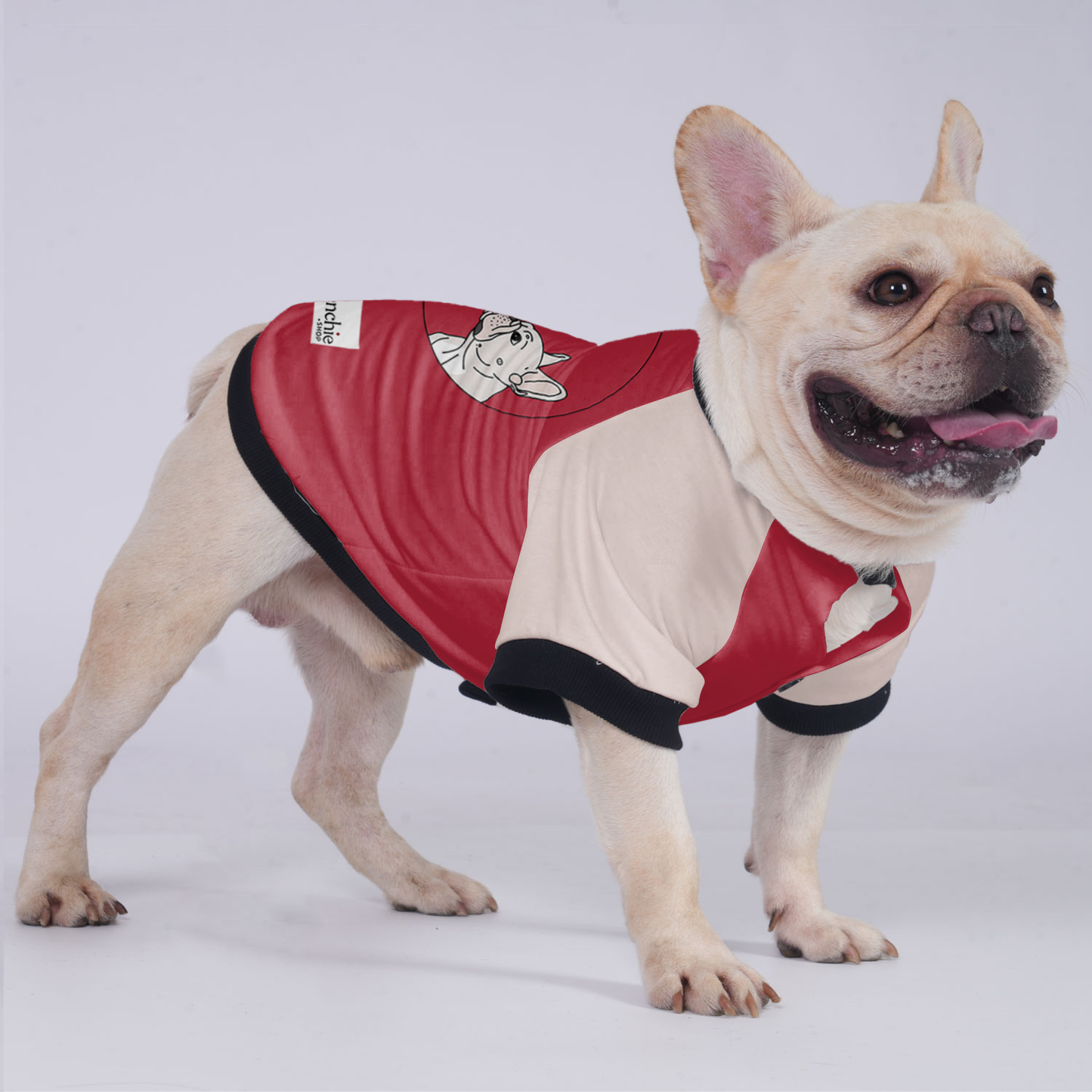 Sophie - Jacket for French bulldog