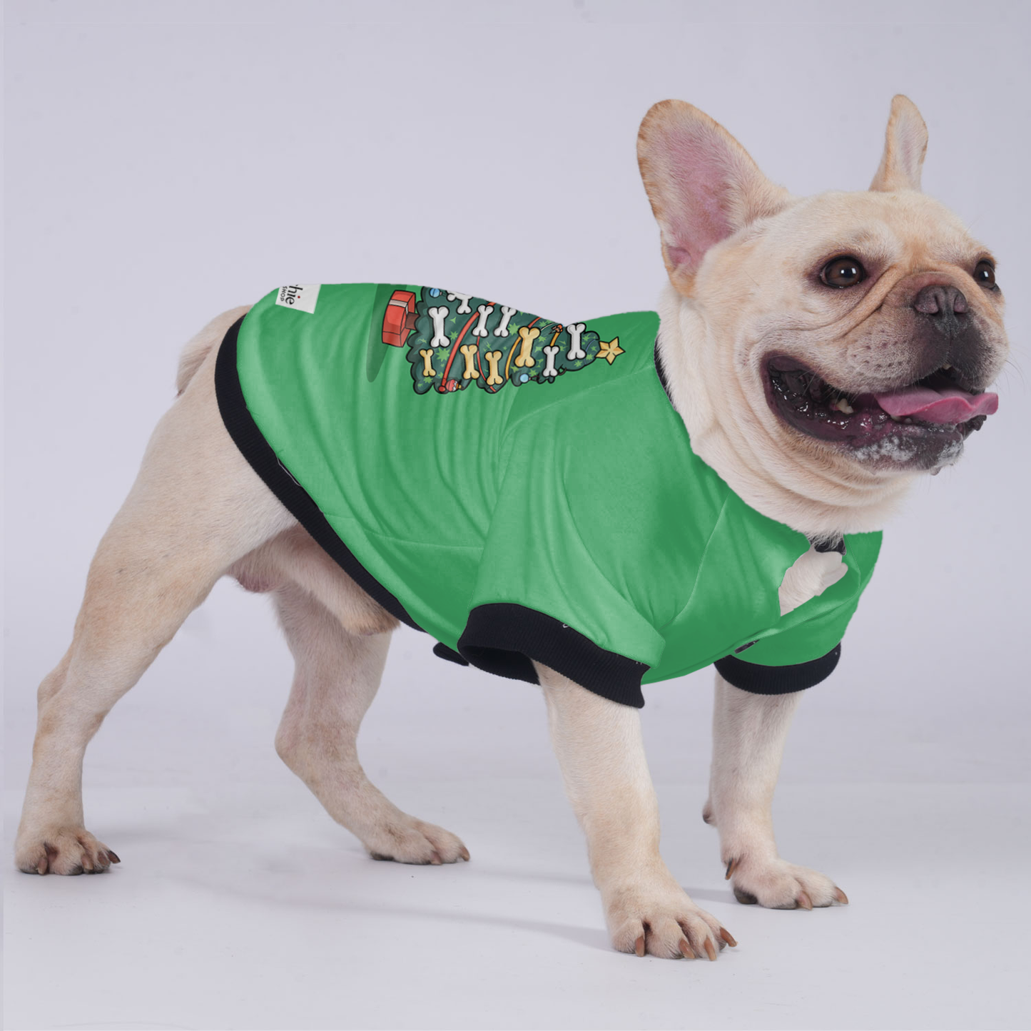 Daisy - Jacket for French bulldog