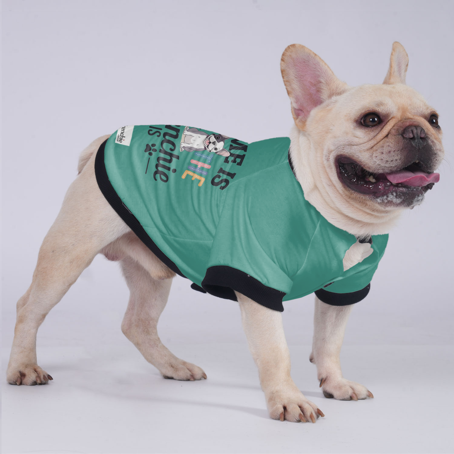 Charlie - Jacket for French bulldog