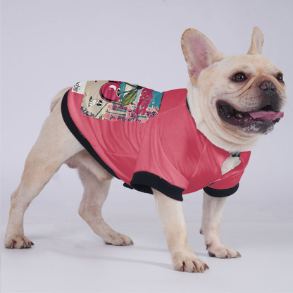 Lady - Jacket for French bulldog