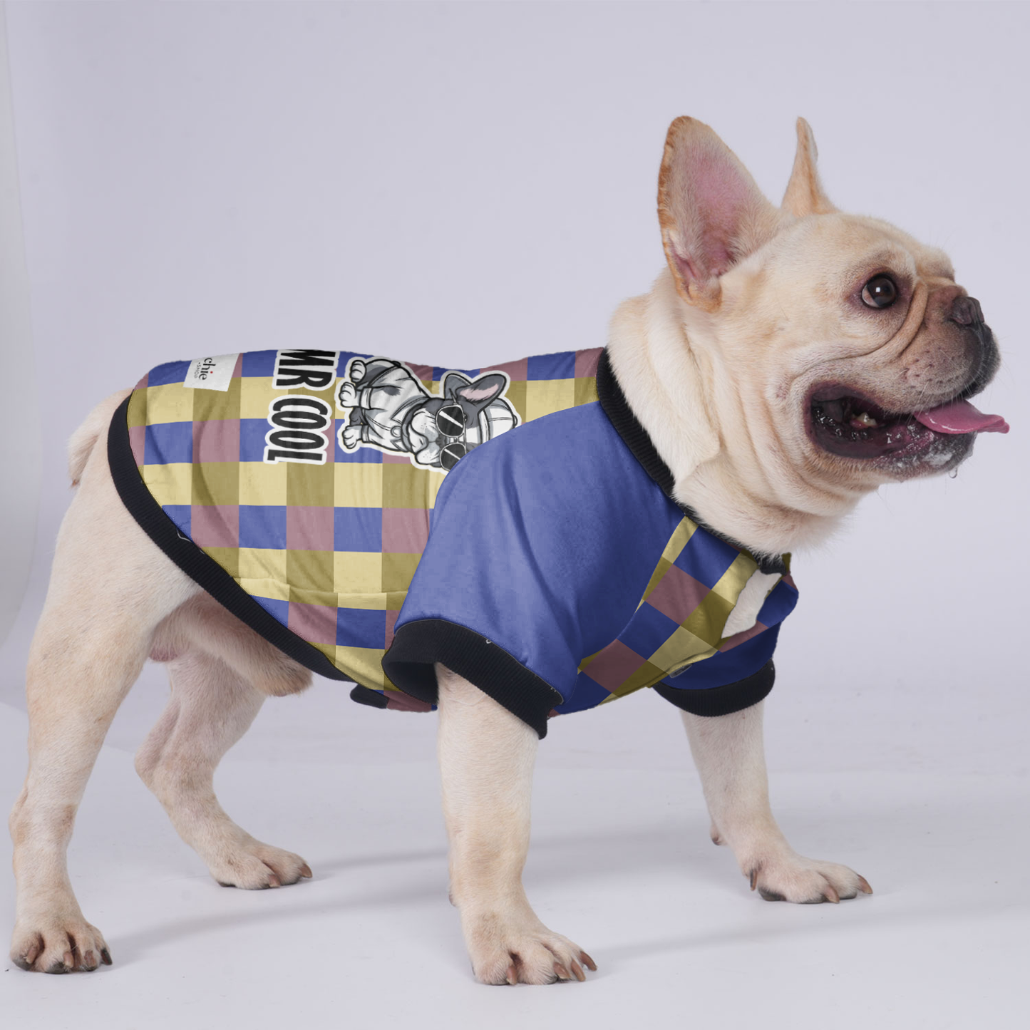 Mr Cool - Jacket for French bulldog