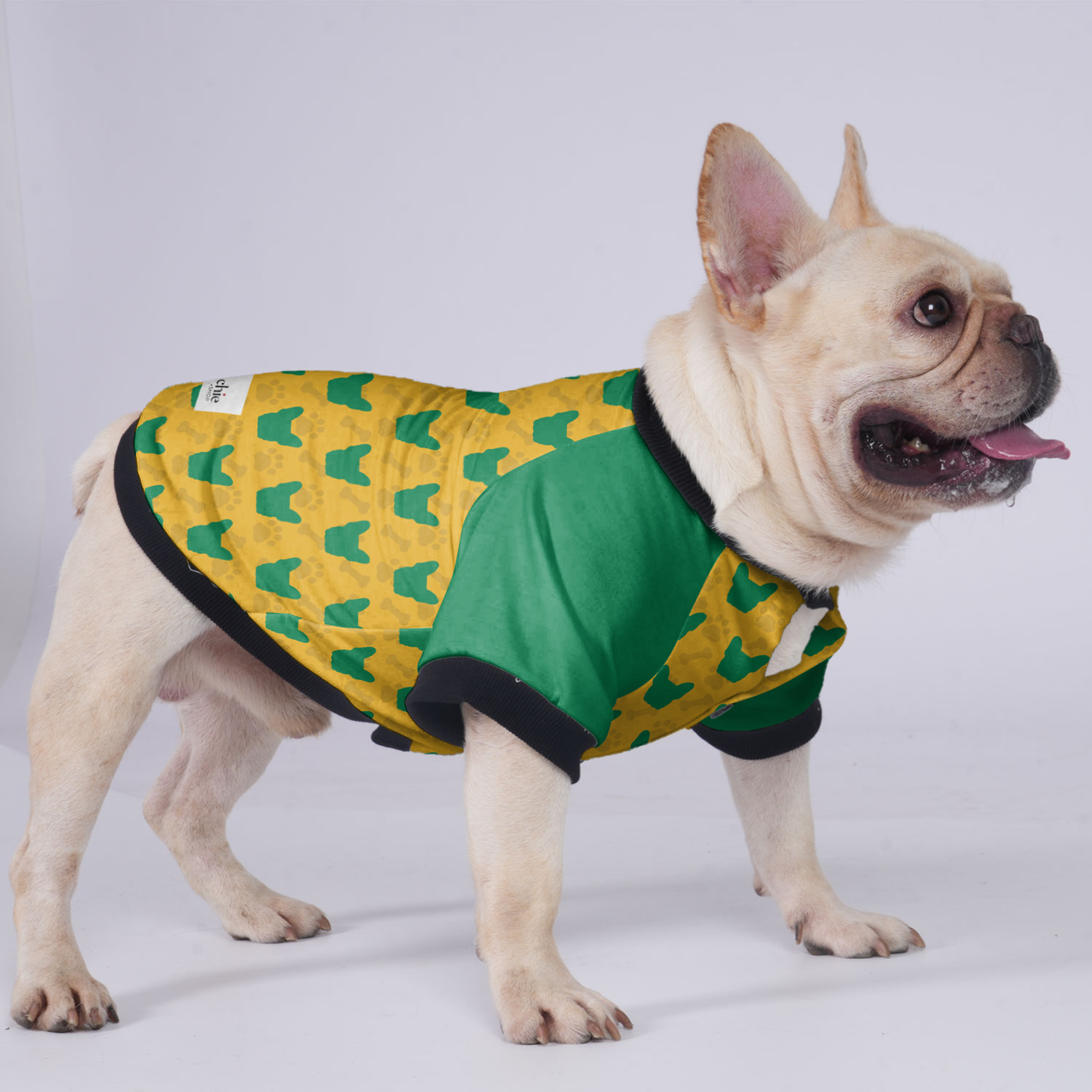 Brooklyn  - Jacket for French bulldog