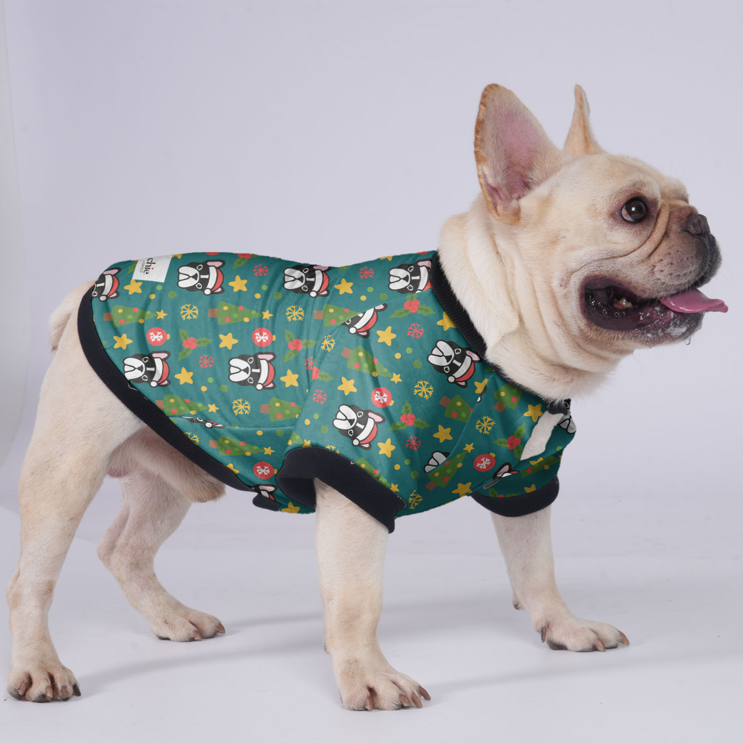 Pablo - Jacket for French bulldog