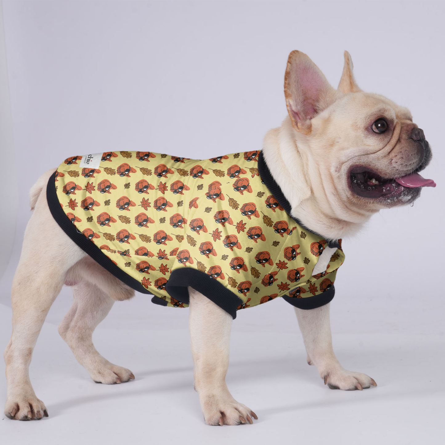 Butter - Jacket for French bulldog