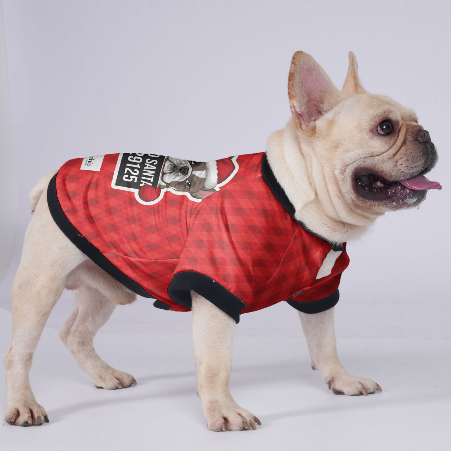 Bad Santa - Jacket for French bulldog