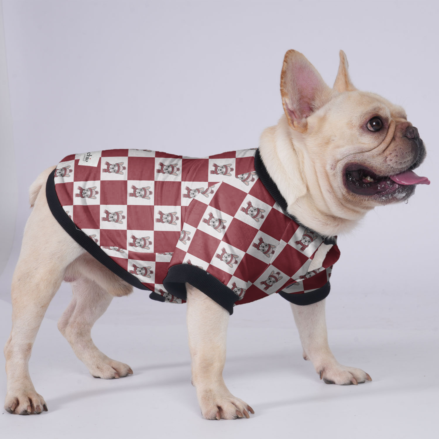 Winston - Jacket for French bulldog