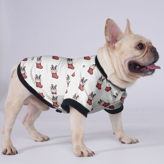 Thor - Jacket for French bulldog