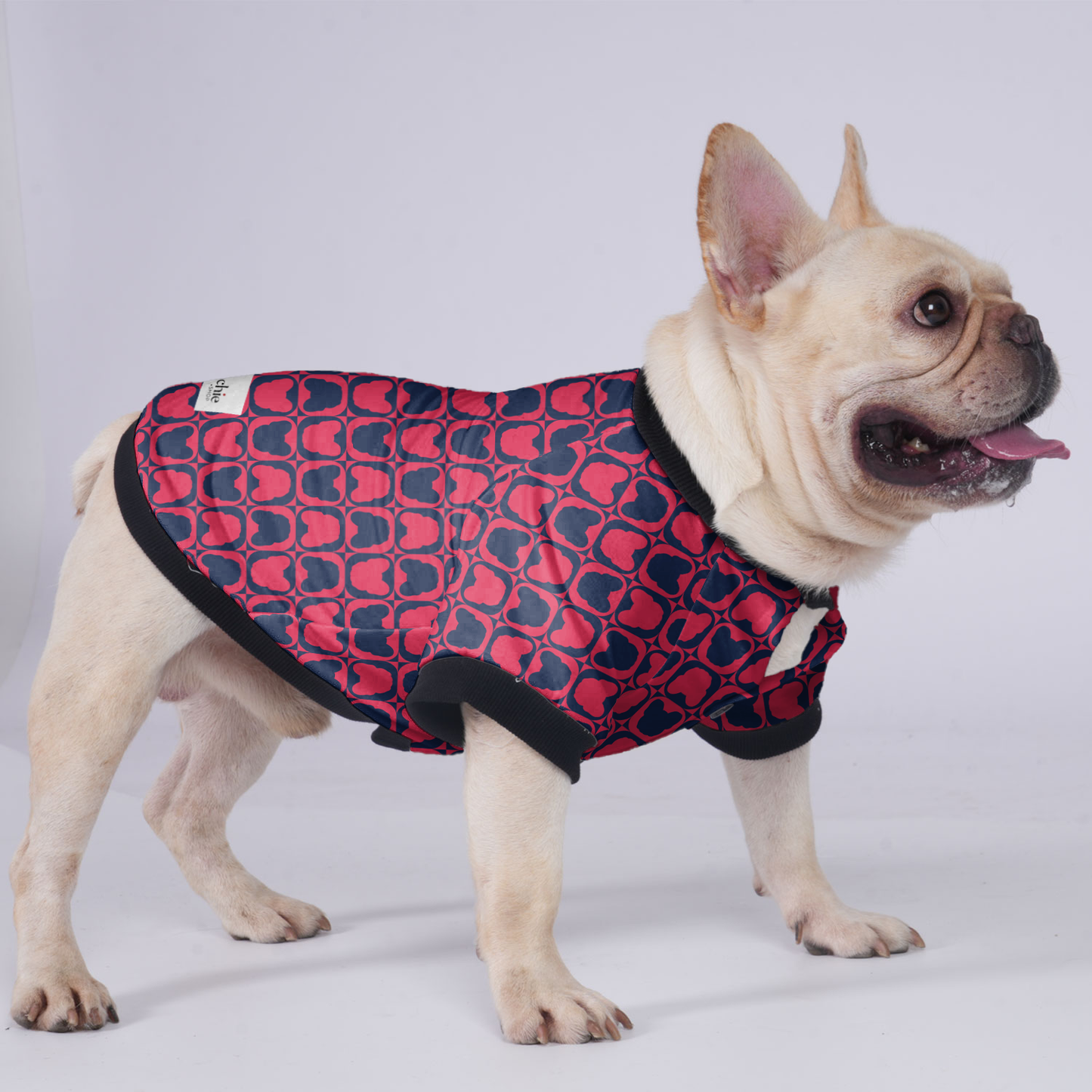 Chip - Jacket for French bulldog