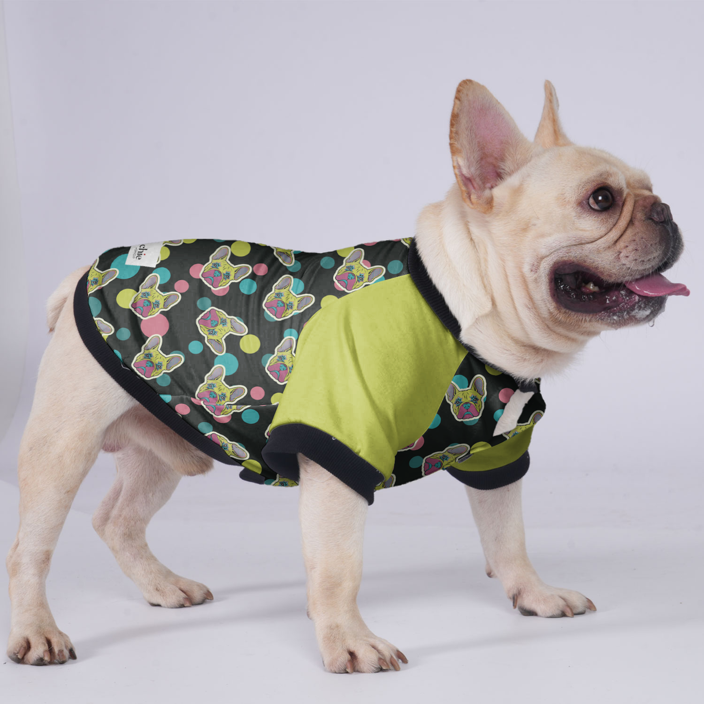 Larry  - Jacket for French bulldog